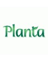 Planta